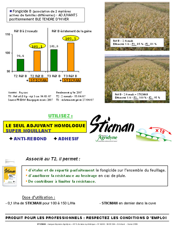 Septorioses sur le bl�